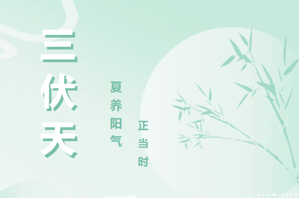 夏养阳气正当时——鹤山市中医院2025三伏天灸开贴啦